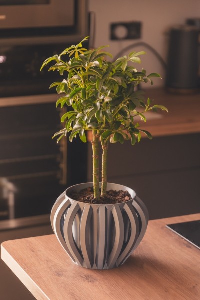 Pot de fleur AURA